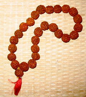 thumbnail to picture of Mala beads made of rudraksha seeds